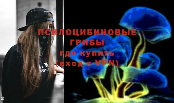 хмурый Белокуриха