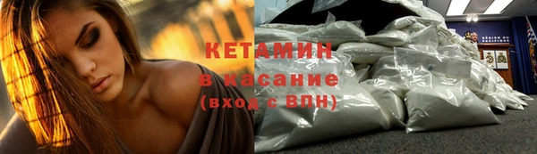 хмурый Белокуриха