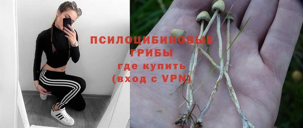 хмурый Белокуриха