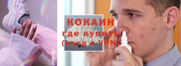 хмурый Белокуриха