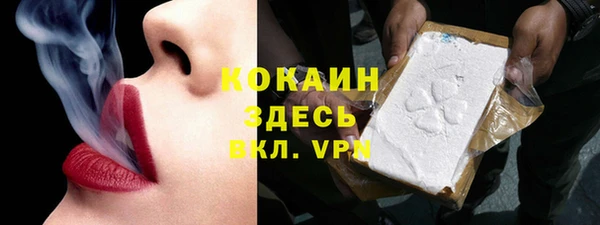 хмурый Белокуриха