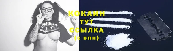 хмурый Белокуриха