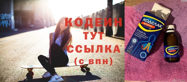 гидра Богданович