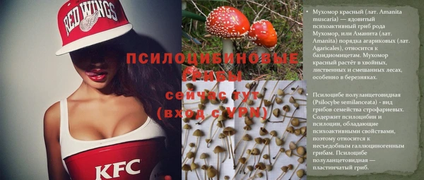 винт Богородицк